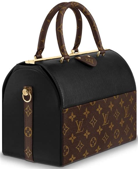 louis vuitton speedy doctor bag.